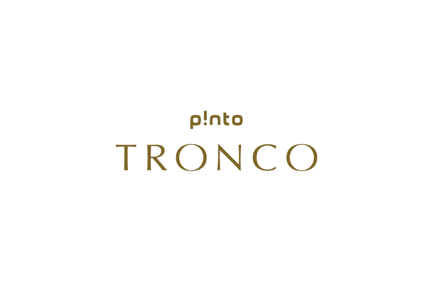 楽天市場】p!nto TRONCO ＼体幹の土台を作る3次元形状クッション